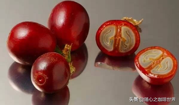 咖啡从采摘到制作过程视频,咖啡采摘加工过程