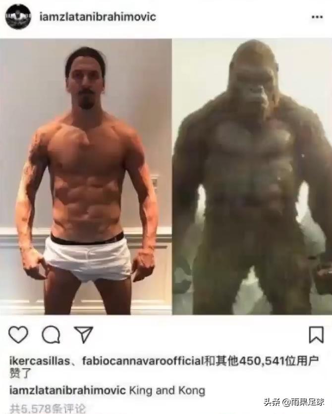 大奉先伊布的足坛传奇故事,足球上帝伊布拉希莫维奇