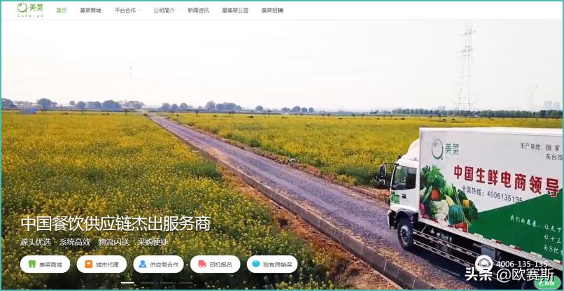 品牌升级设计的著名品牌案例,品牌设计品牌策划案例分享会