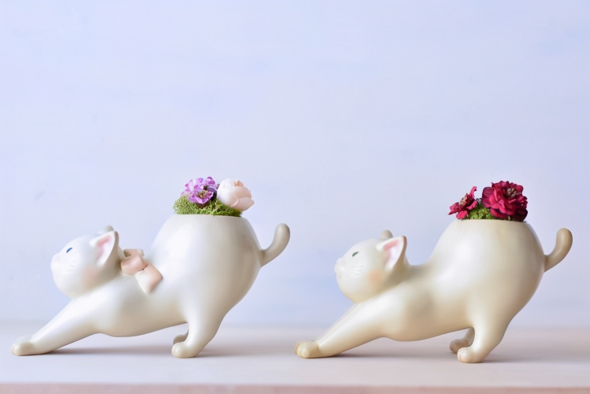 推荐稀奇古怪小玩意,稀奇古怪推荐