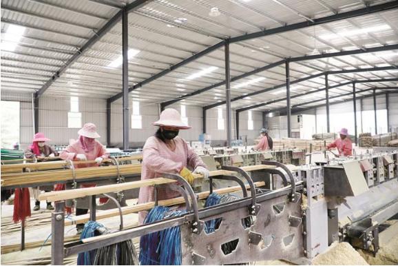 风展红旗如画三明|宁化治平：畲乡竹海，闯出致富路