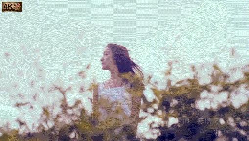 从全网黑到全网催婚,从全网黑到万人捧的歌手