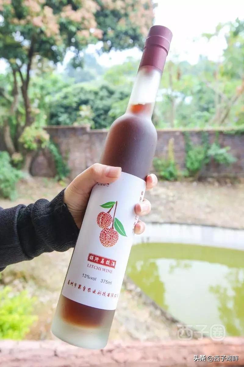 惠州镇隆荔枝什么品种,惠州镇隆自摘荔枝在哪