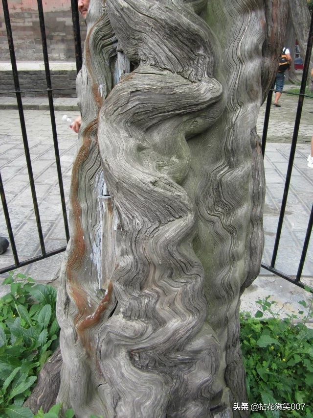 三孔孔府孔庙孔林一日游,孔府与孔庙孔林并称三孔