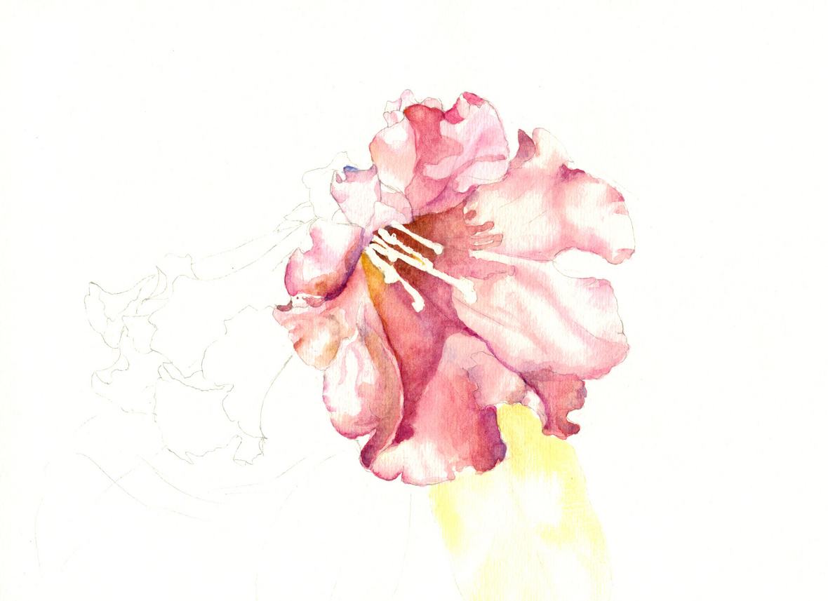 诗豪刘禹锡个人简介,诗豪刘禹锡是哪里人