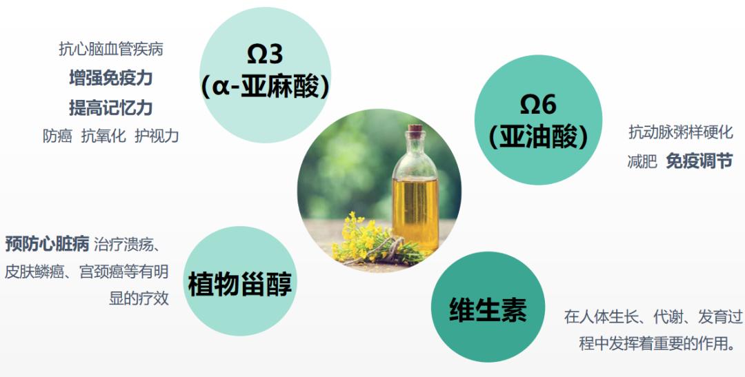 青少年肥胖问题该怎么解决,儿童青少年预防肥胖知识