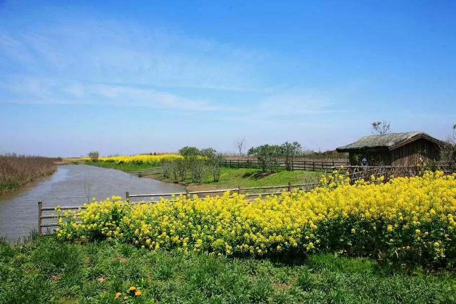 疯狂刷屏！夜晚24:00的上海街头，藏着另一幅面孔…