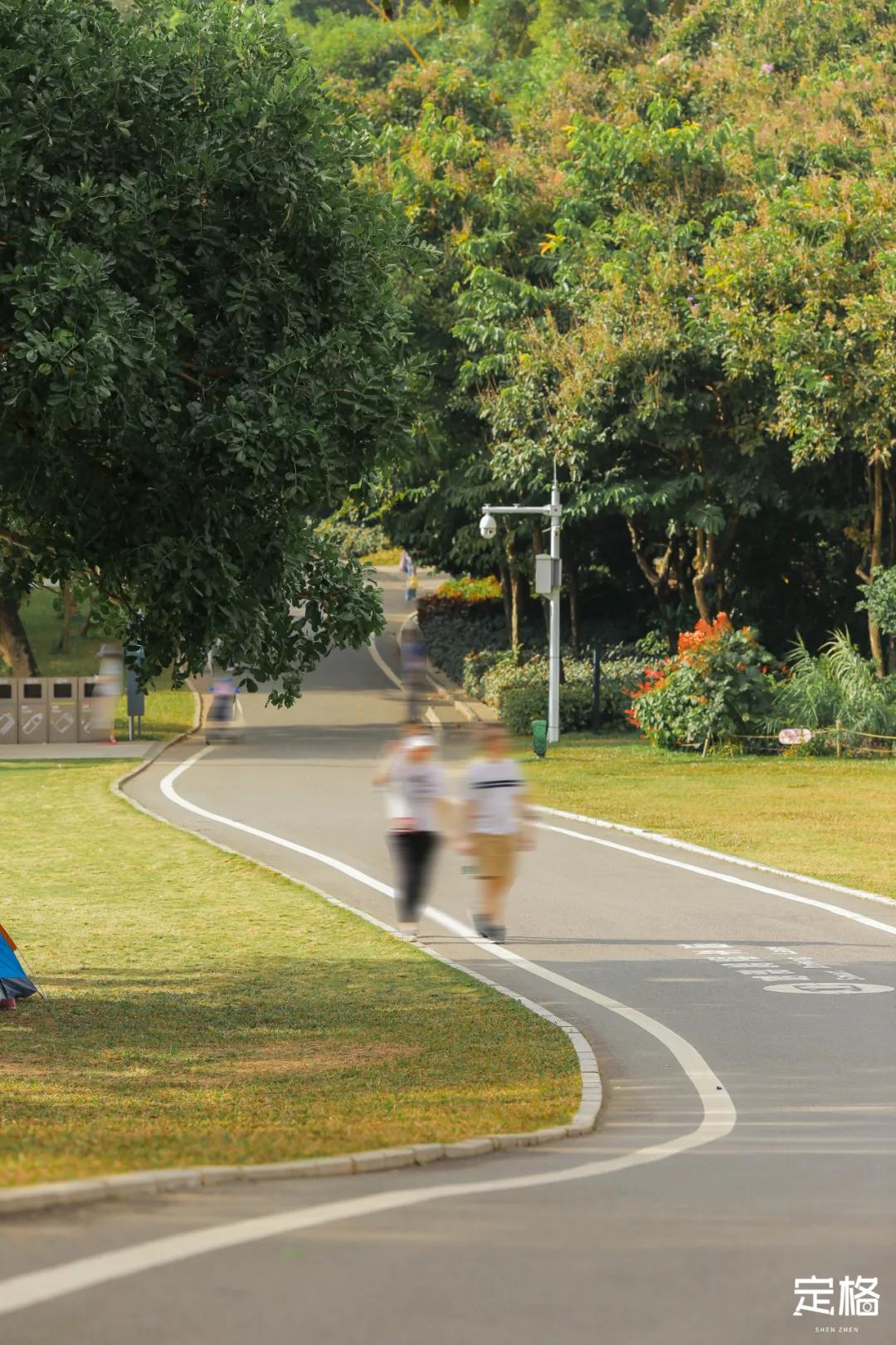 莲花山公园网红打卡地,即墨莲花山公园网红打卡地