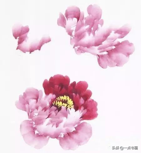 写意牡丹的画法示范教程,王绣写意牡丹画法零基础视频