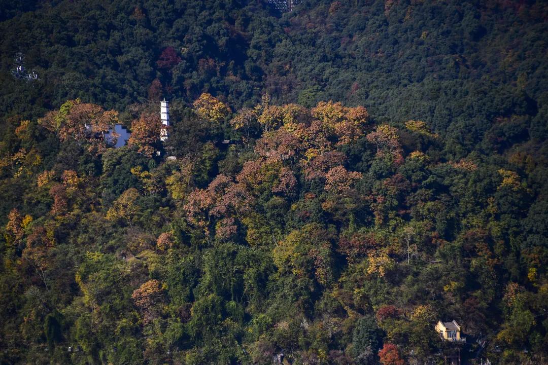 杭州适合拍照风景区,杭州最值得打卡的风景区