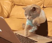 编辑部要学点什么,编辑部都有什么东西