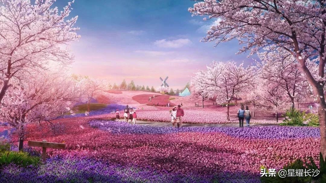 爆品来了完整版,博才学校8字头房价