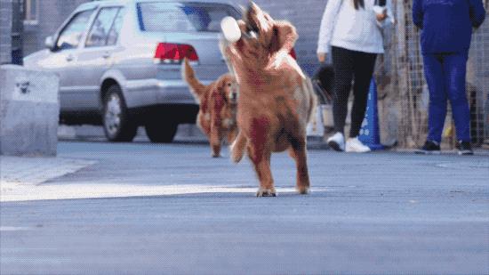 北京姑娘在西藏开民宿,北京姑娘在云南开民宿