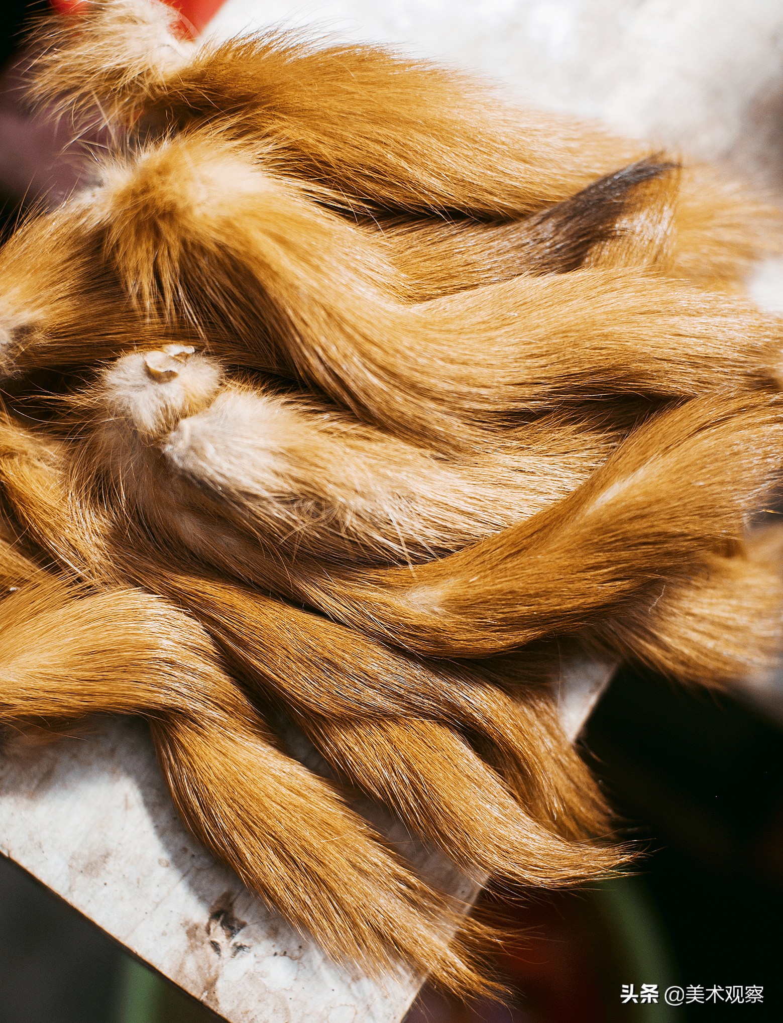 毛笔的制作工序有多少道图解,简单了解了一下毛笔的制作过程