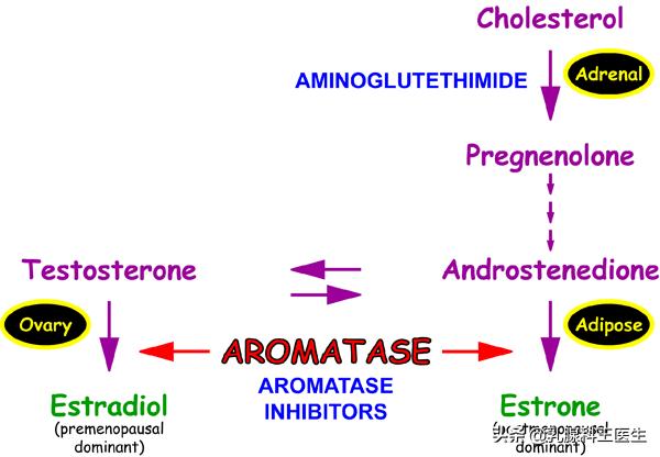诊治子宫内膜增厚,吃内分泌的药子宫内膜增厚怎么办