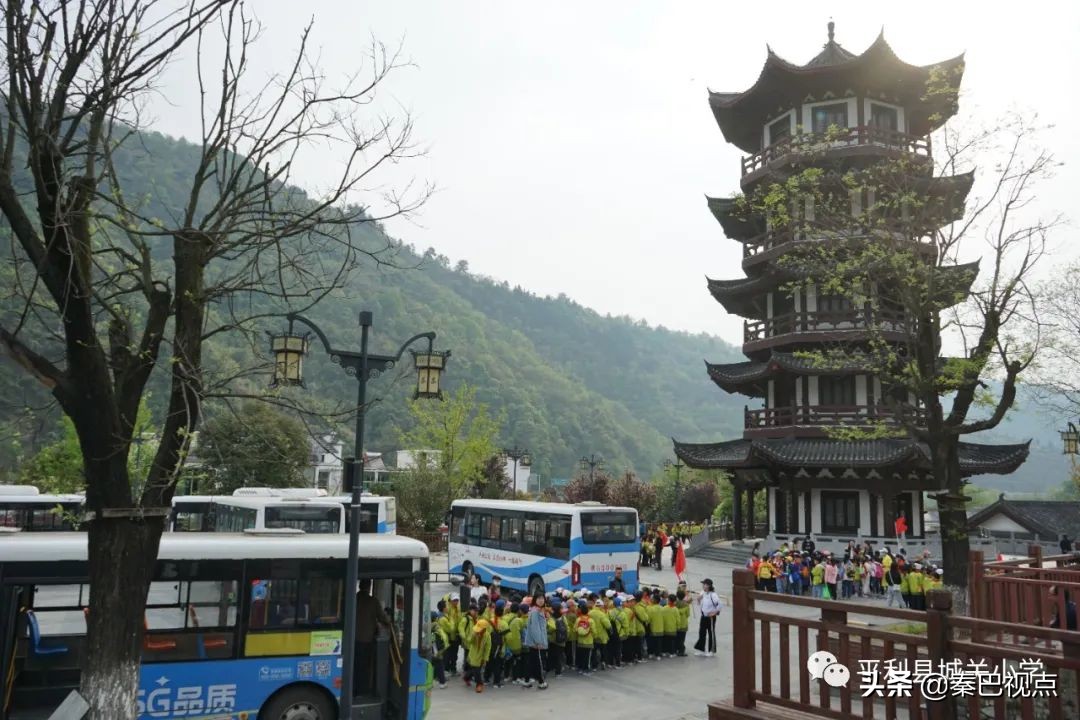 期末班级户外实践活动小学,平岚小学户外拓展研学活动