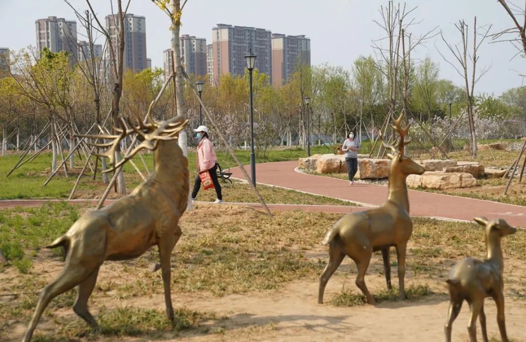 【FENG说】花海树荫中健身！丰台今年再添32片家门口的运动场