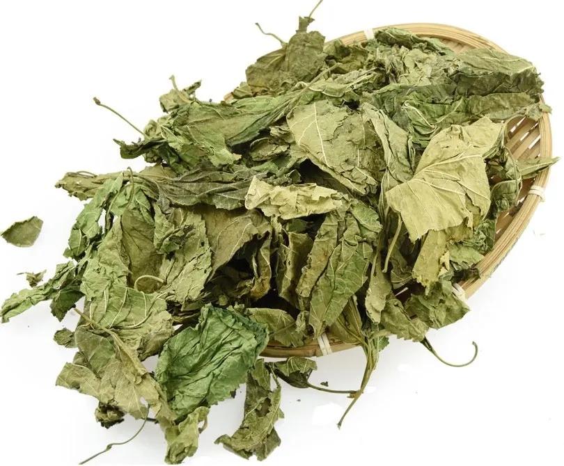 中药五种桑的功效,中药里面的桑黄