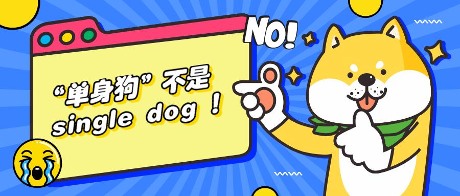 单身狗可以说singledog吗,盘点单身狗伤心之处