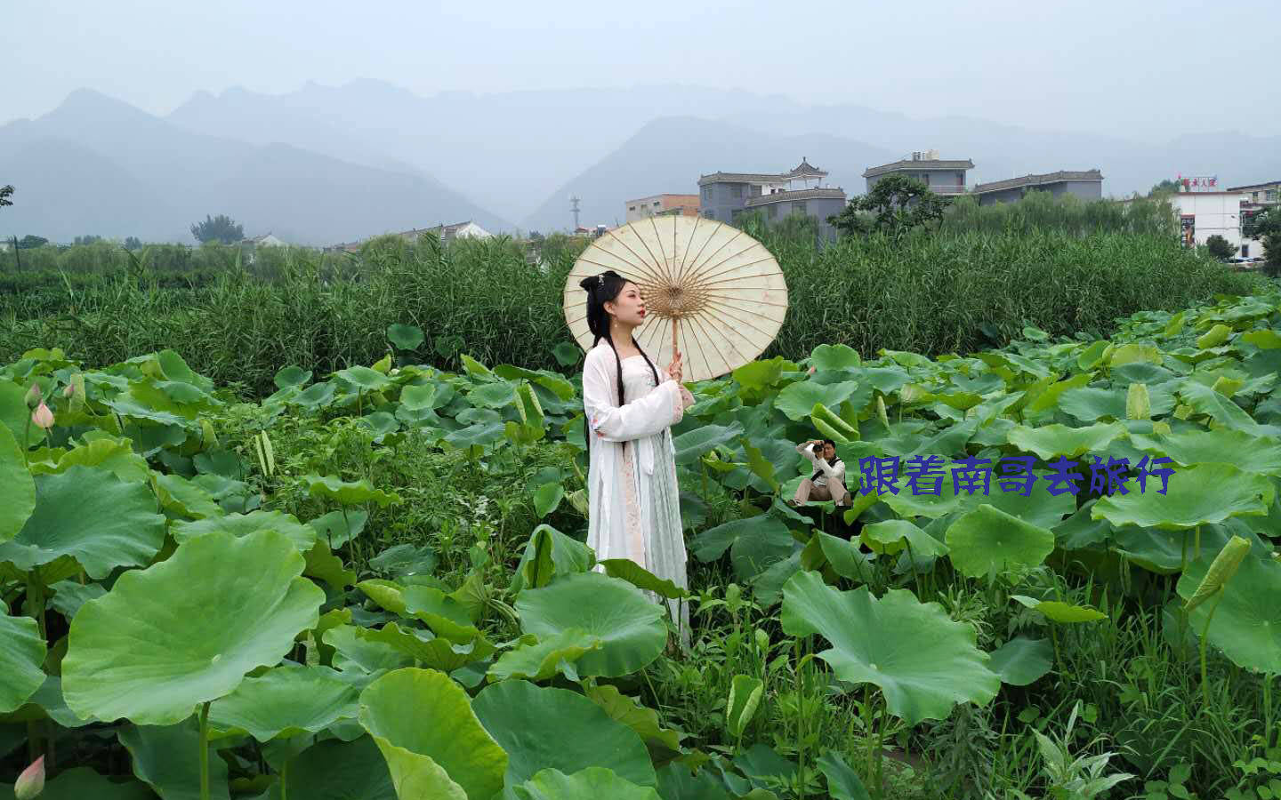 西安蓝田特点小吃,西安蓝田好吃的小吃