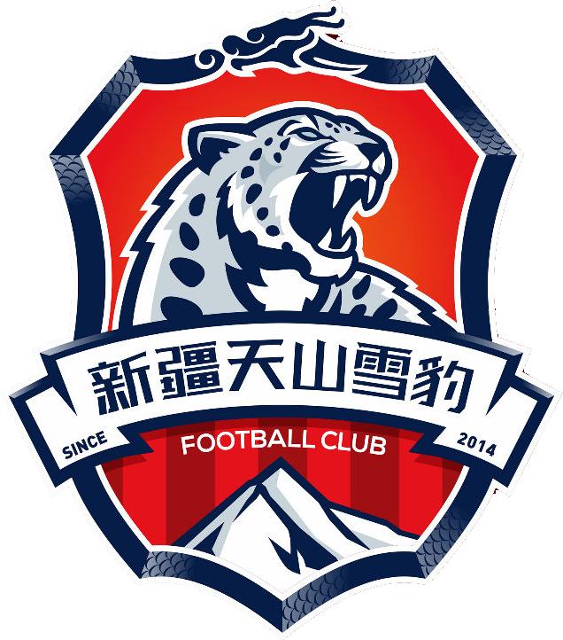 中国足球队历届队徽,中国足球队历年队徽变化