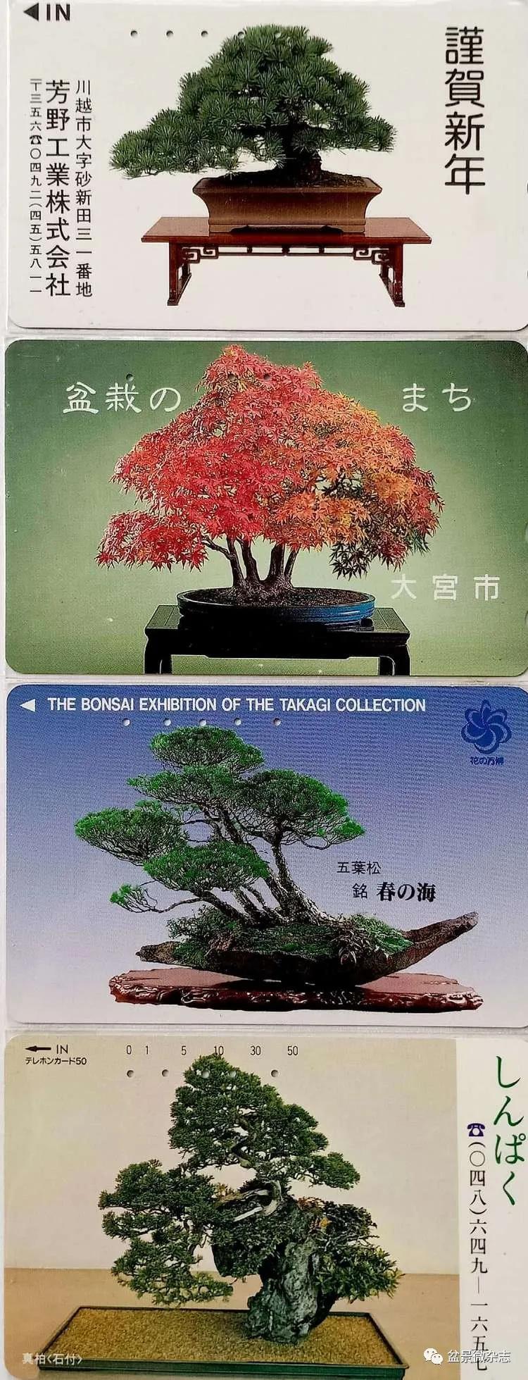 鐩嗘櫙鑱旂郴鐢佃瘽,鐩嗘櫙鑱旂郴鐢佃瘽鍙风爜