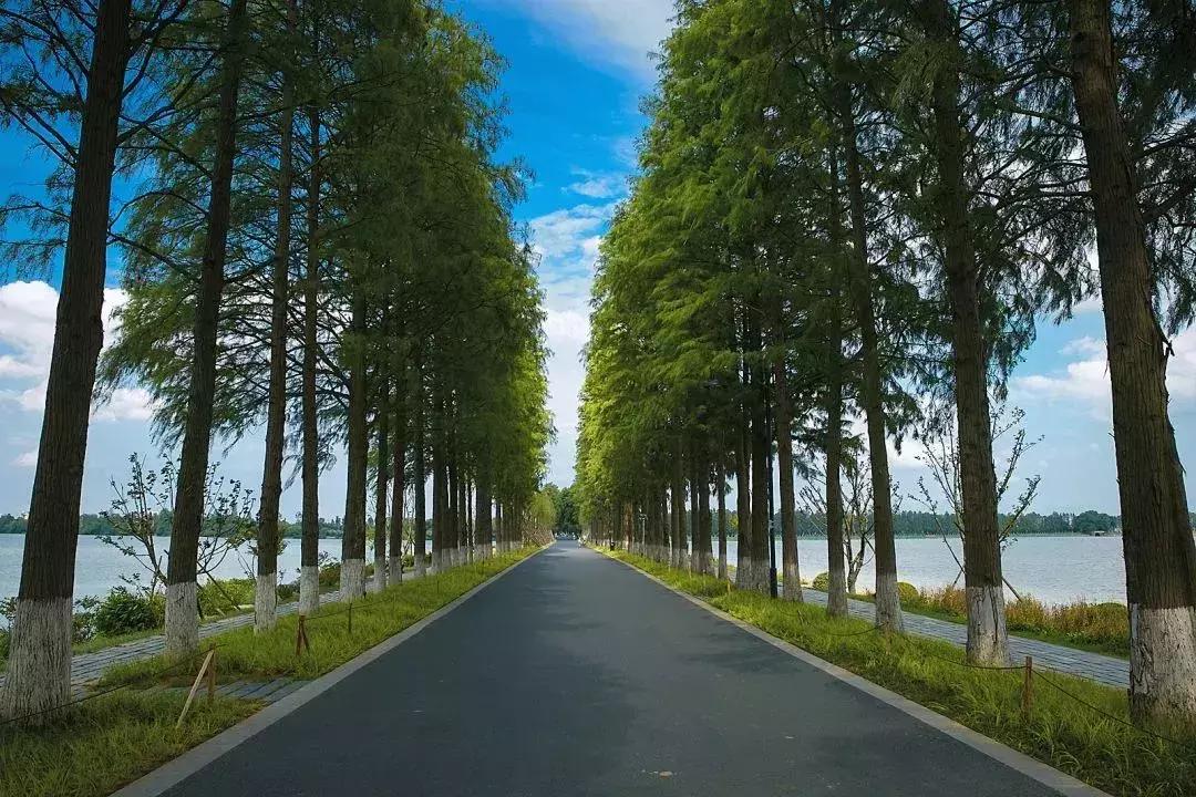 2019年武汉所有演唱会,武汉未来展示图