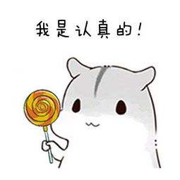 安徽足球幼儿园,省教育厅足球试点