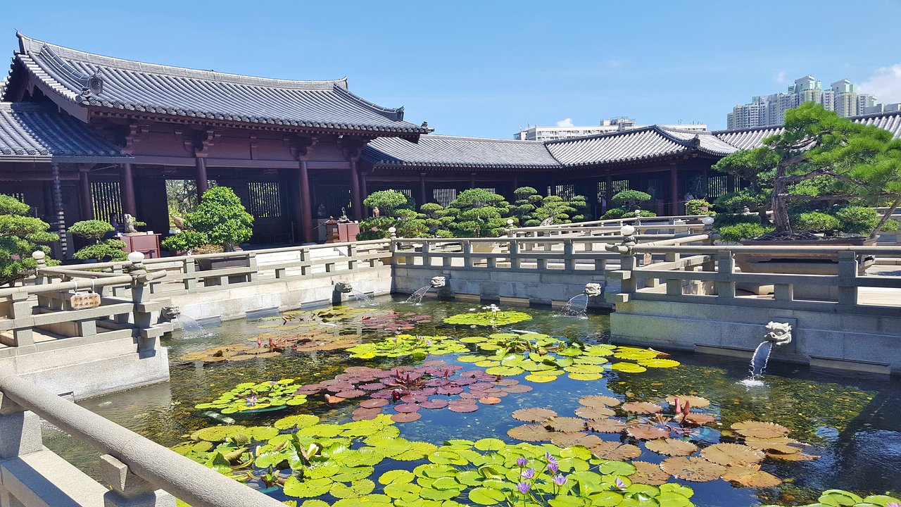 香港志莲净苑地图,香港志莲净苑好玩吗