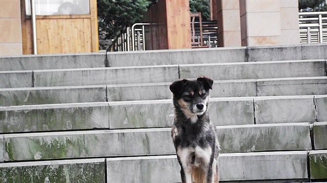 南京竹海宜兴竹海,宜兴华东第一竹海