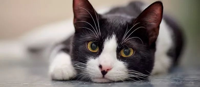 法国红酒的法语句子,法语中所有时态表达及用法总结