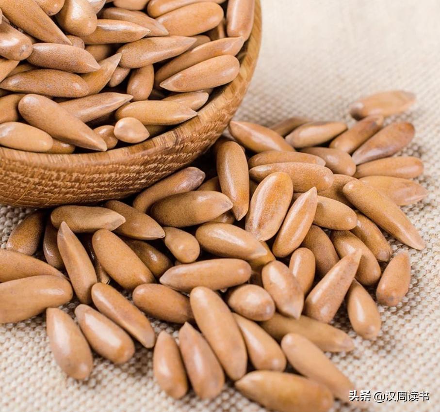 足球世界的绿巨人,猜世界国家