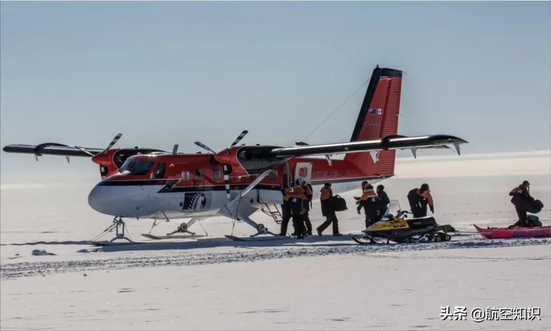 飞机制造商对动物的喜爱到底有多深？——德哈维兰加拿大