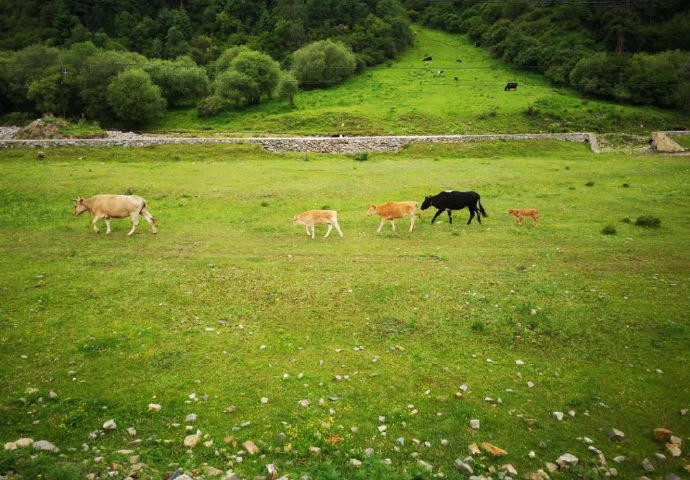 推荐5个国内必去小众旅行地,国内超适合独自旅行的8个小众地