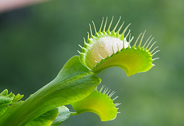 浠佺埍涓冨勾绾т笂鍐岃嫳璇璾nit2topic1,鑻辫浠佺埍涓冨勾绾т笂鍐寀nit2topic1