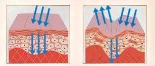 景甜倪妮同台2019年,景甜倪妮同台2019