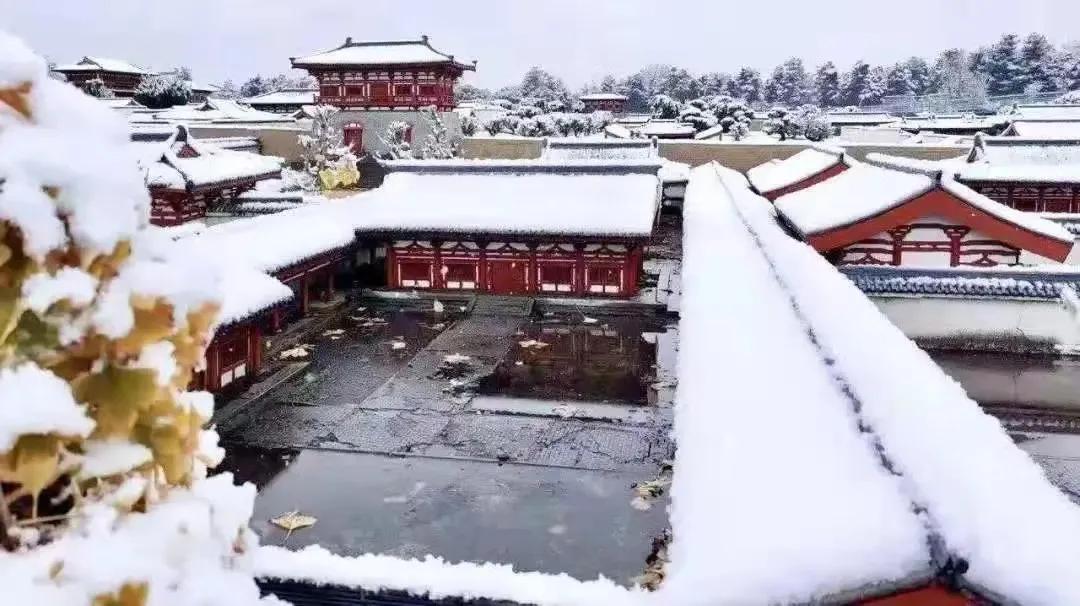 冬天适合旅游的国内看雪景点,冬天看雪最值得去的地方