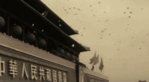 模糊人像照片高清修复小工具,手机模糊的照片怎么高清修复