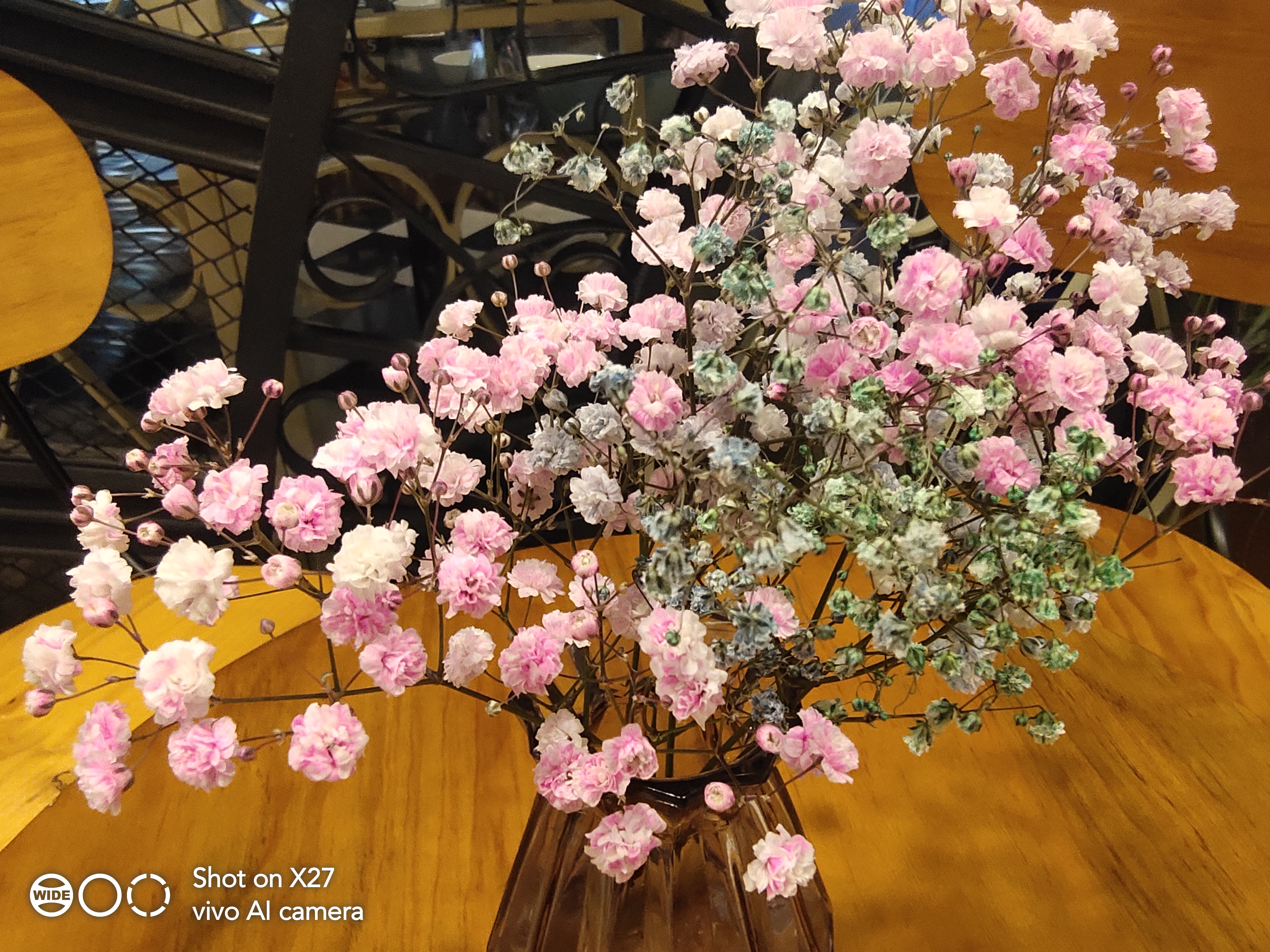 vivox27还能入手么,vivox27全方面测评