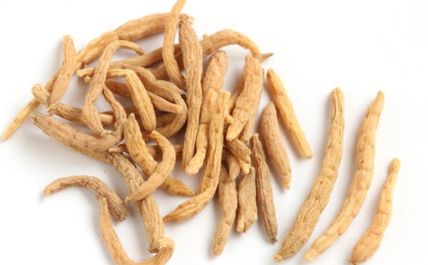 各种参的作用,各种参的功效和作用