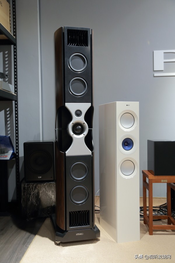 让音乐复活：PMCfactfenestria落地音箱