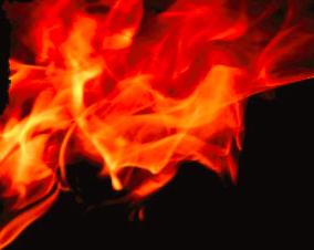 杨文说八字合婚,杨文八字知识大全