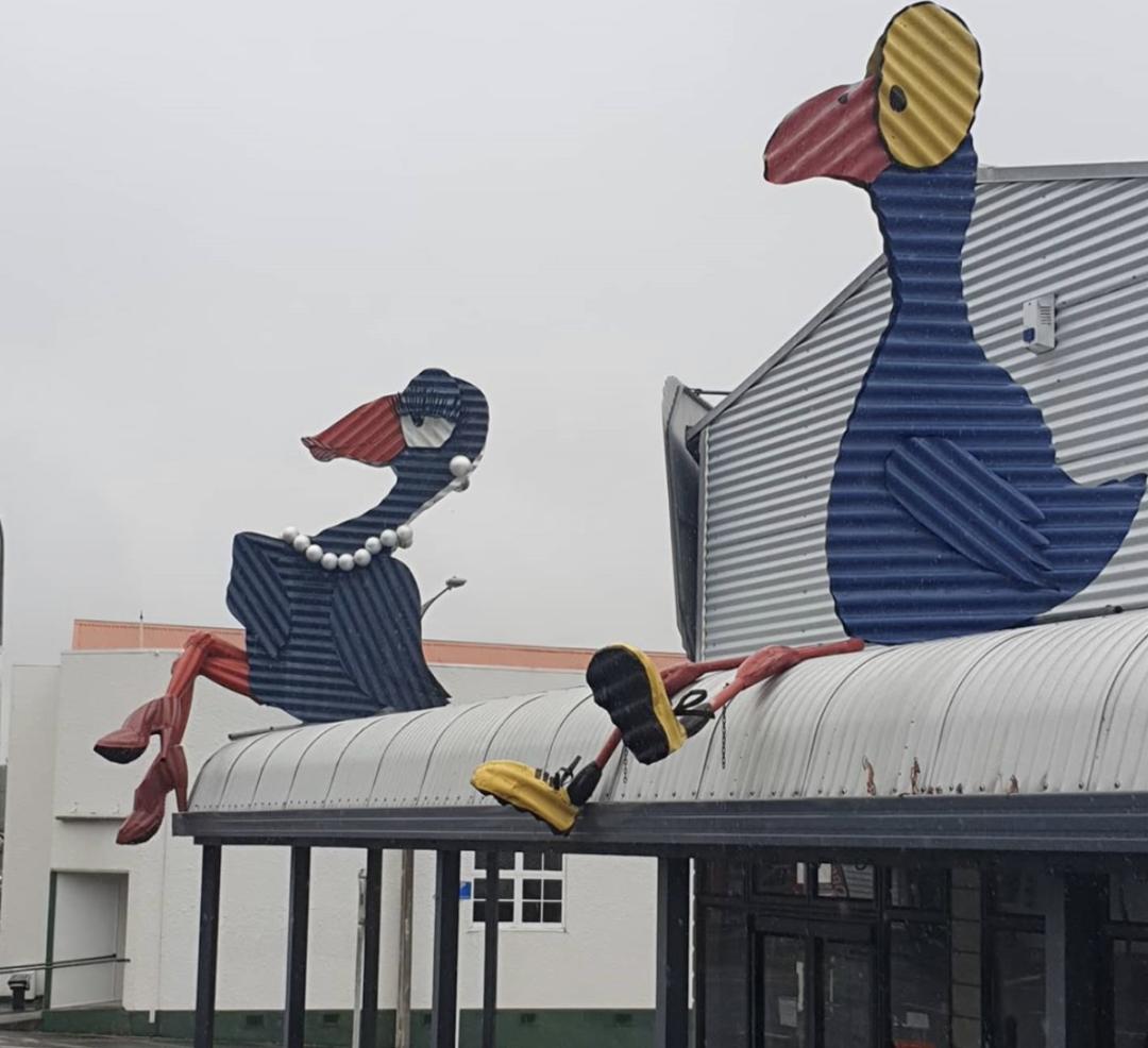 看了就想抱！这些“萌宠”温柔世界