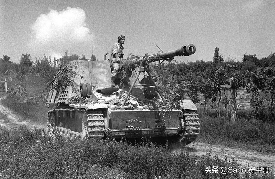 野蜂自行火炮和犀牛自行火炮,犀牛轮式自行火炮