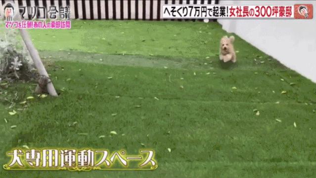 38岁家庭主妇创业20年,38岁日本家庭主妇