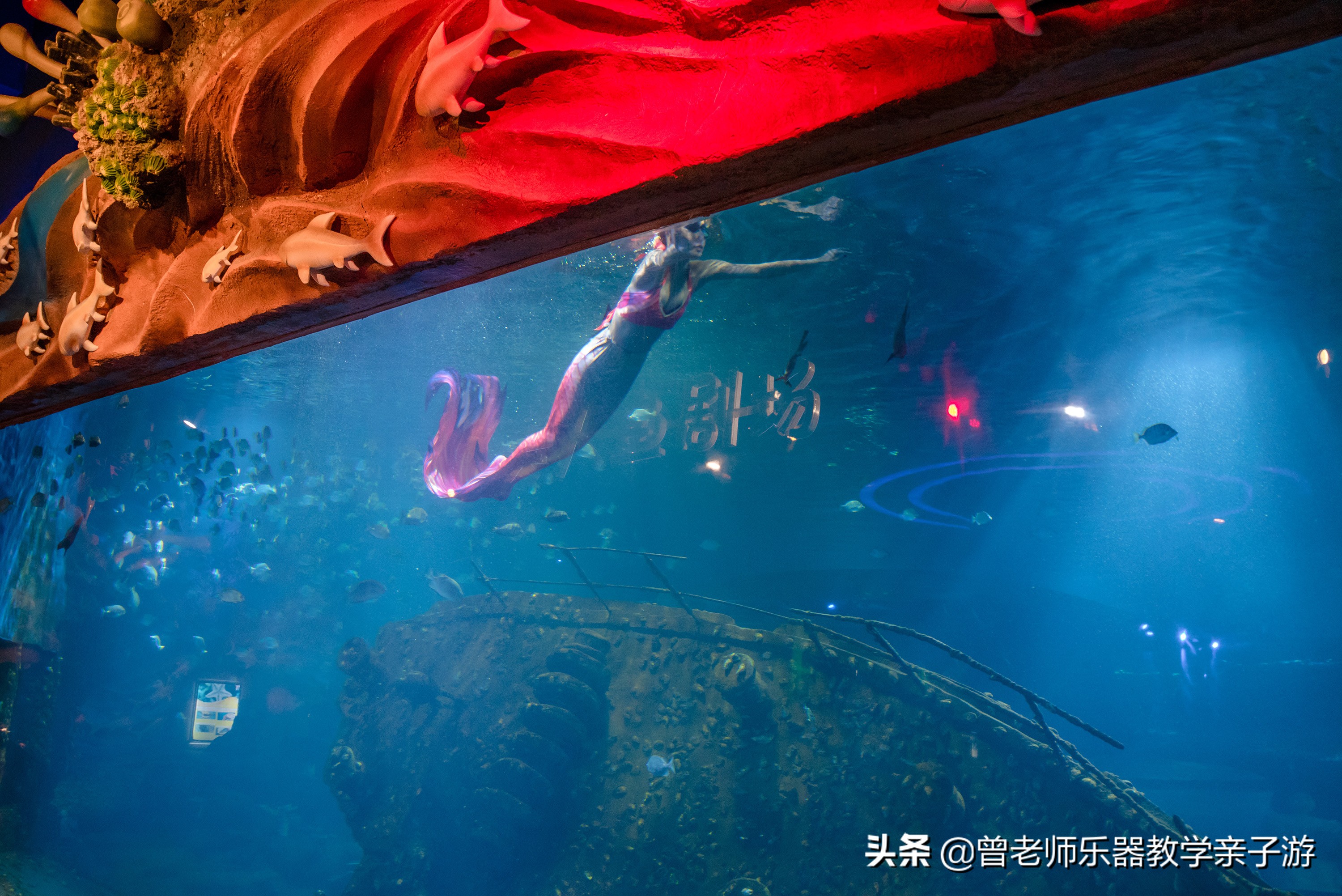 西安太奥海洋馆,西安极地海洋世界海豚表演