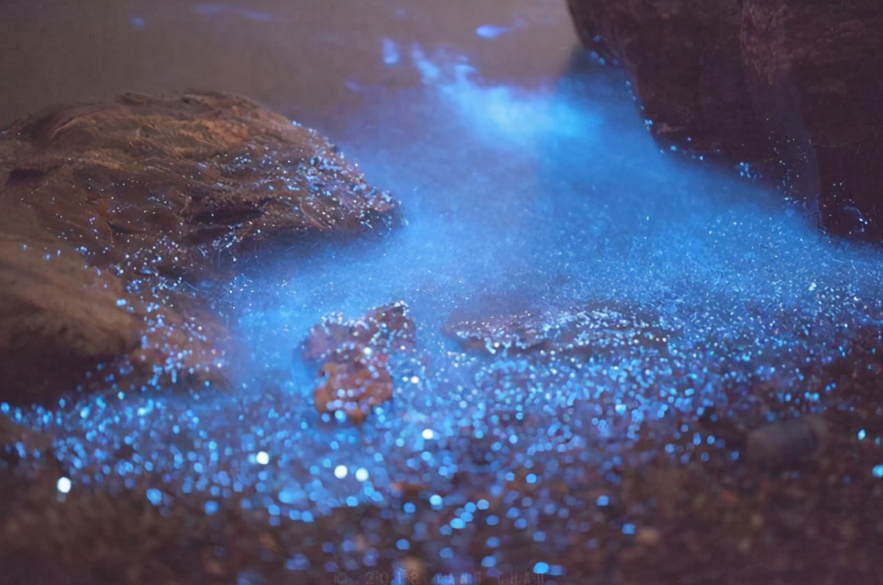 大连旅游攻略登岛路线推荐,大连旅游海盗岛攻略图