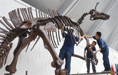 山东东部曾是恐龙乐园，这种恐龙个头如大象，鼻部长角如独角兽