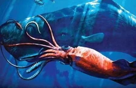 地球十大巨型未知生物,地球未知生物档案解密