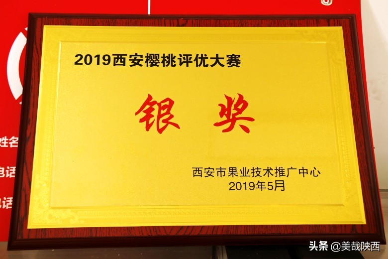 樱桃采摘园西安白鹿仓,摘樱桃西安的去处